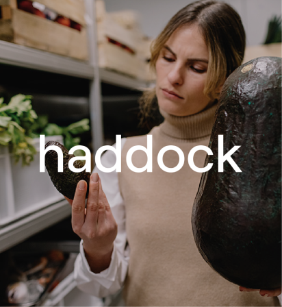 haddock